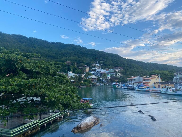 Shifting Gears Journey: Weeks 29-31 in Brazil